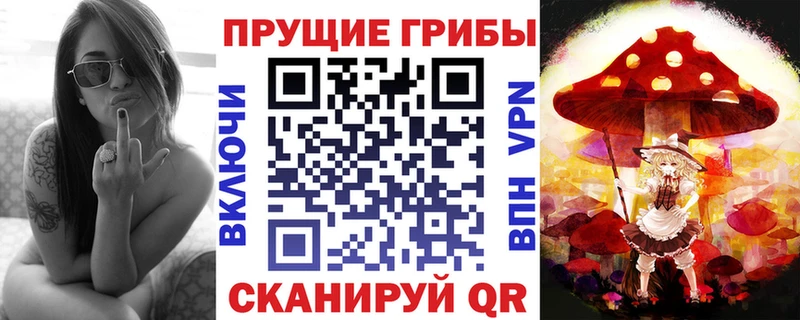 где продают   Цимлянск  Псилоцибиновые грибы мицелий 